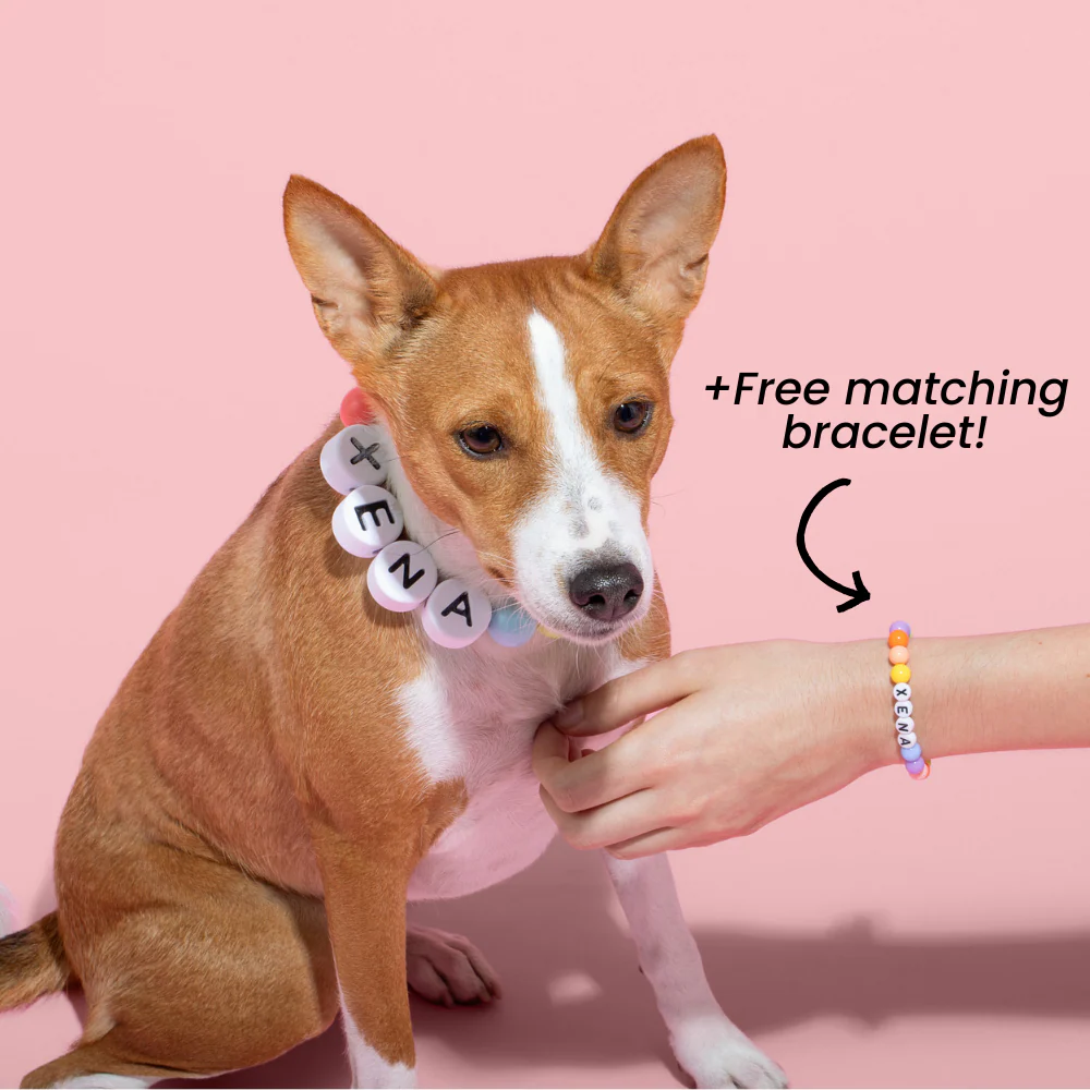 BFF Dog Collar