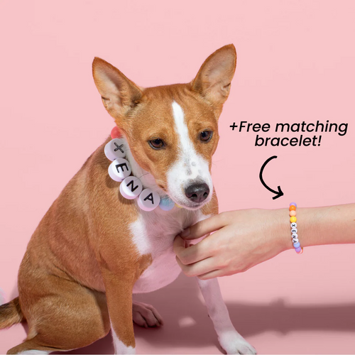 BFF Dog Collar