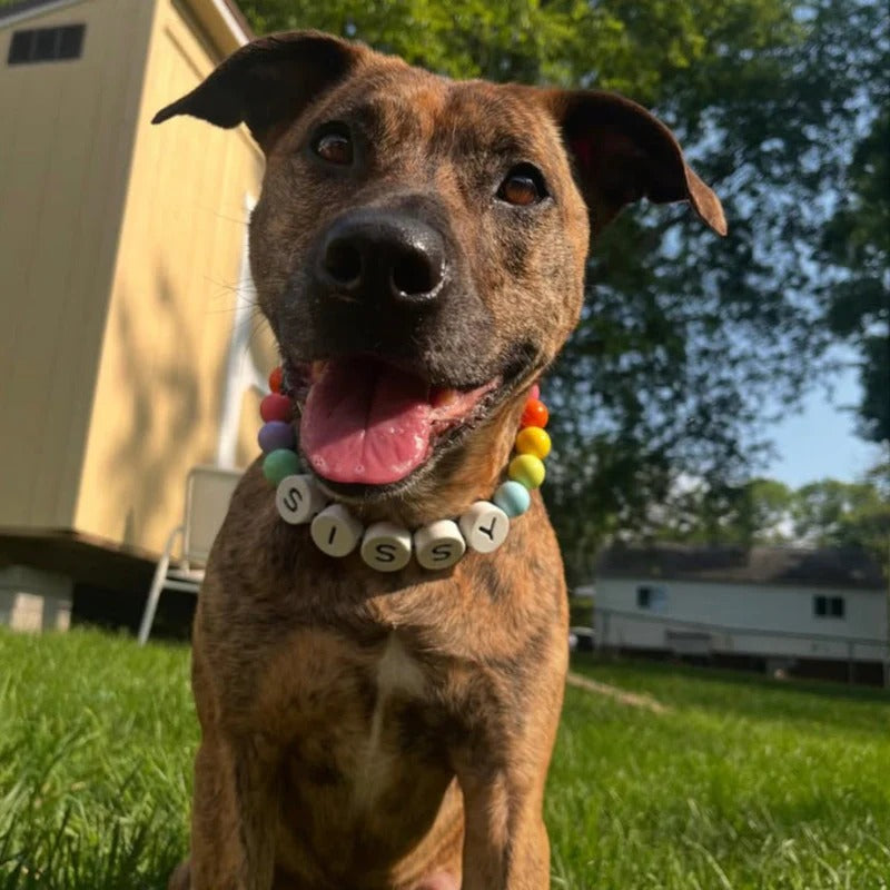 BFF Dog Collar