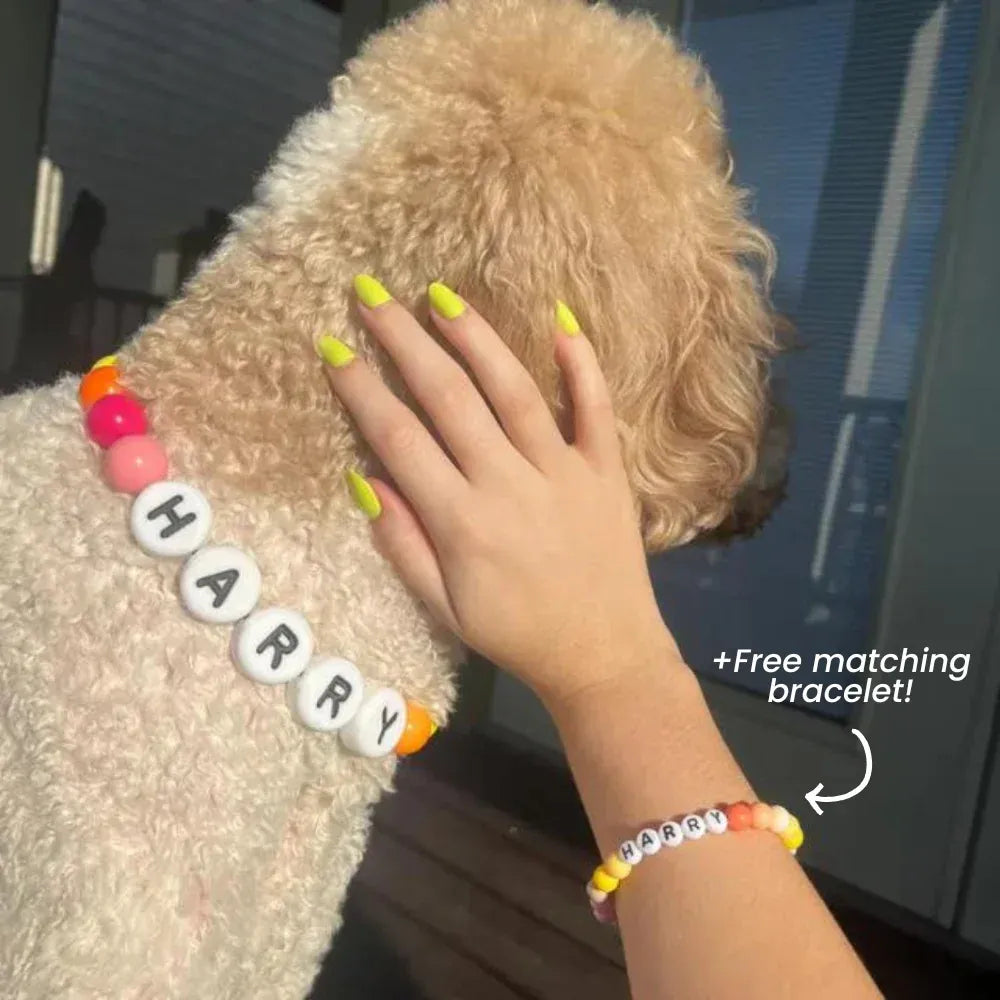 BFF Dog Collar