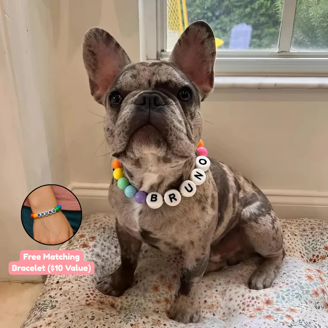 BFF Dog Collar